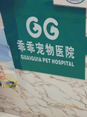 赤峰市宠物美容团购电话号码-第1张图片