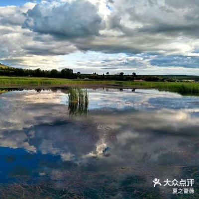 赤峰小蜜蜂搬家公司电话号码-第1张图片