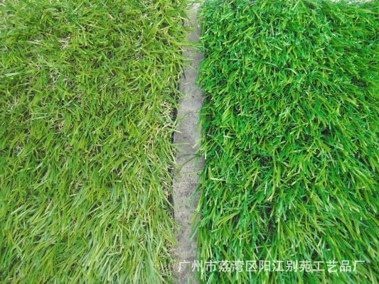 赤峰运动草皮厂家电话号码查询-第1张图片