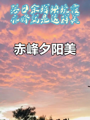赤峰京香婚宴酒店电话号码多少-第1张图片