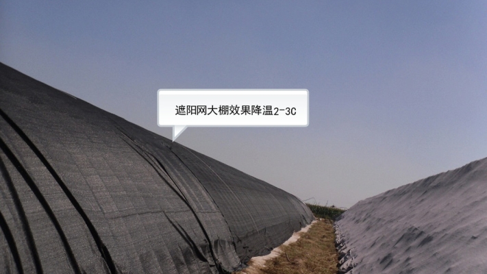 赤峰大棚遮阳网厂家电话号码-第1张图片