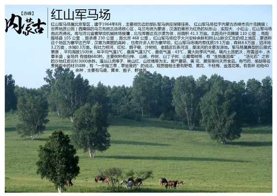 赤峰烟箱批发电话多少号-第1张图片