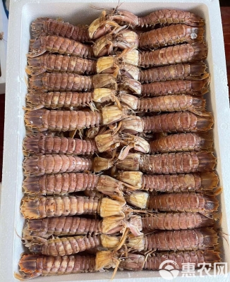 赤峰冷冻虾批发电话多少号-第1张图片