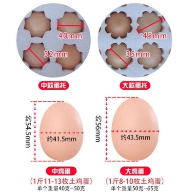 赤峰珍珠棉蛋托厂电话号码-第1张图片