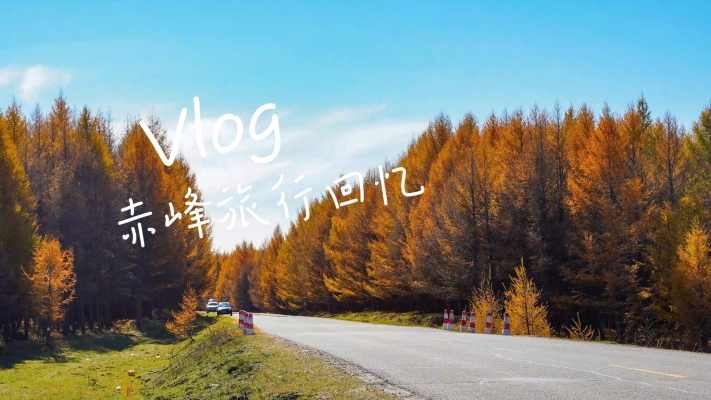 赤峰天越肥肠店电话号码查询-第1张图片