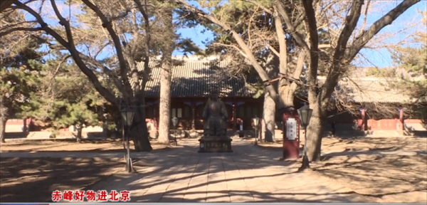 赤峰至喀喇沁客车电话号码-第1张图片