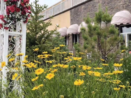 赤峰花甸鲜花店地址电话号码-第1张图片