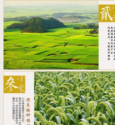 赤峰包装盒推荐厂家电话是多少-第1张图片