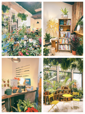 赤峰植物园书屋电话多少号-第1张图片