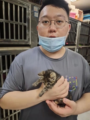 赤峰宠物病狗救助站电话号码-第1张图片