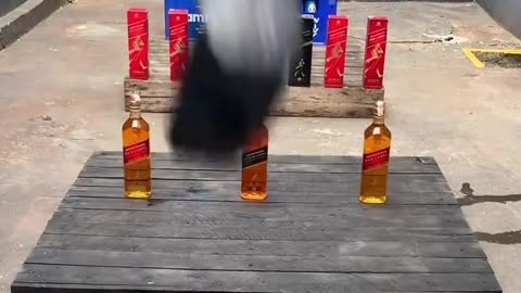 赤峰砸酒瓶解压馆电话是多少号-第1张图片