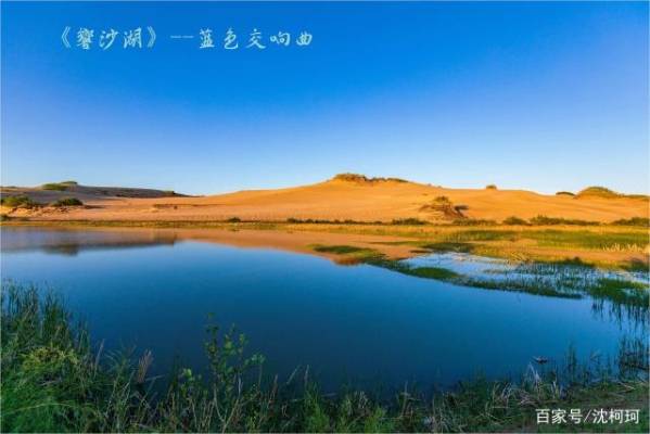 赤峰乌丹修麻将机电话号码-第1张图片