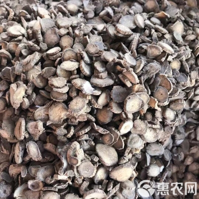 赤峰牛膝批发电话多少啊-第1张图片