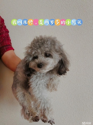 赤峰宠物店兼职电话号码多少-第1张图片