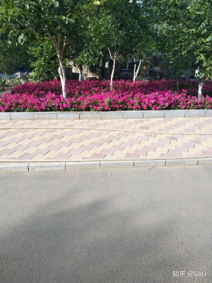 赤峰市红旗车队地址电话号码-第1张图片