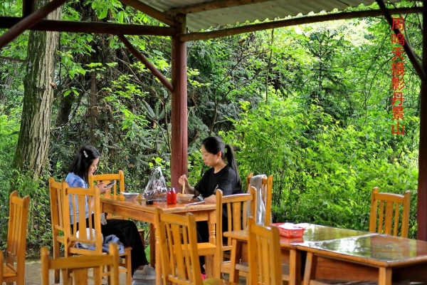 赤峰景山杜鹃花基地电话号码-第1张图片