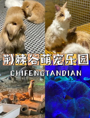 赤峰花卉养殖基地-第1张图片