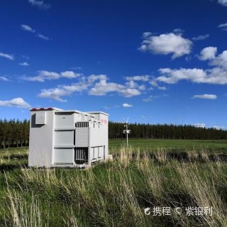 赤峰桧木团购地址电话号码查询-第1张图片