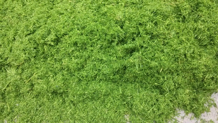 赤峰玉米柔丝加工厂电话号码-第1张图片