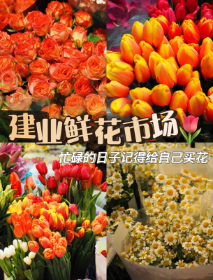 赤峰市鲜花店的电话号码-第1张图片