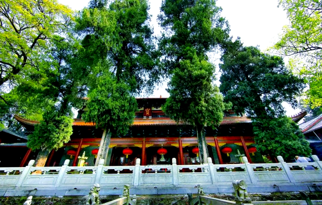 赤峰桥北宝峰禅寺的电话是多少-第1张图片