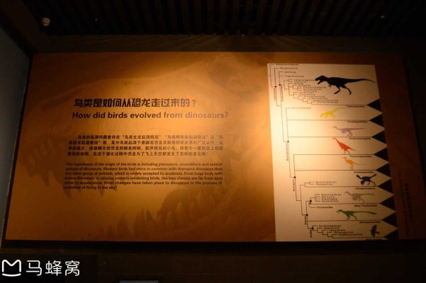 赤峰送车七夕电话地址查询-第1张图片