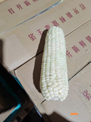 赤峰速冻玉米粒厂家电话号码-第1张图片