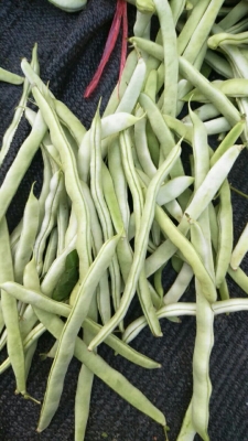 赤峰菜盆批发市场电话号码-第1张图片