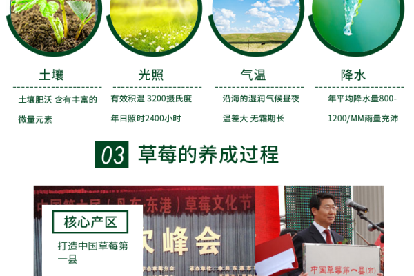 赤峰市坏果包赔电话号码-第1张图片
