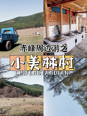 赤峰丽娜烧烤地址电话多少号-第1张图片