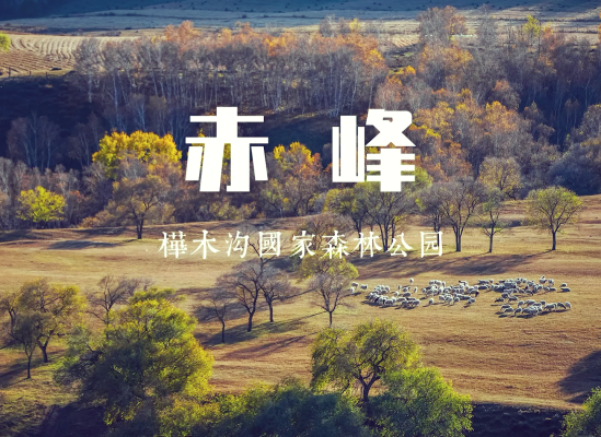 赤峰植物园美食团购电话号码-第1张图片