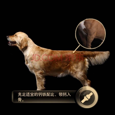 赤峰市配送狗粮电话地址查询-第1张图片