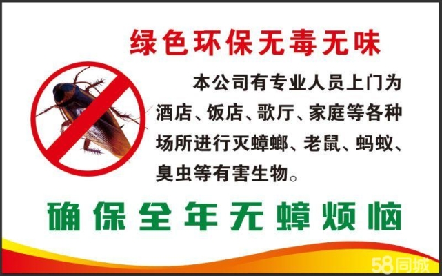 赤峰市灭老鼠电话多少啊-第1张图片