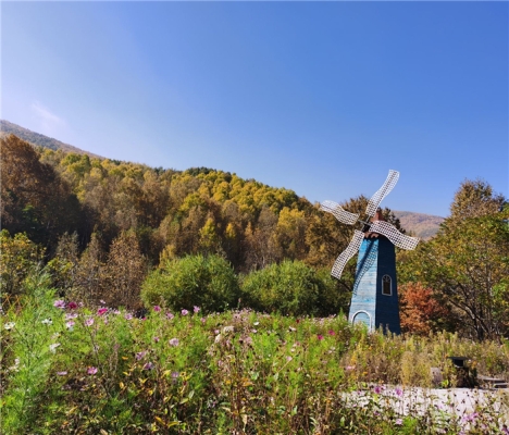 赤峰倒须沟景区电话号码是多少-第1张图片