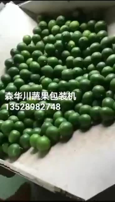 赤峰柑橘包装机厂家电话号码-第1张图片
