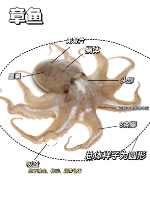 赤峰凌记鱿鱼馆电话号码查询-第1张图片