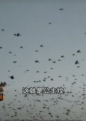 内蒙赤峰鞭炮厂电话多少号-第1张图片