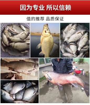 赤峰蚯蚓饵料批发市场电话号码-第1张图片
