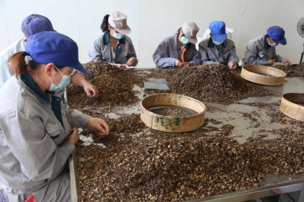 赤峰牛脖套批发电话地址查询-第1张图片