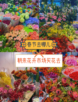 赤峰花卉市场买花的电话是多少-第1张图片