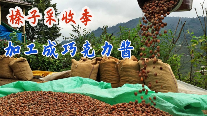 赤峰果仁加工厂家电话号码-第1张图片