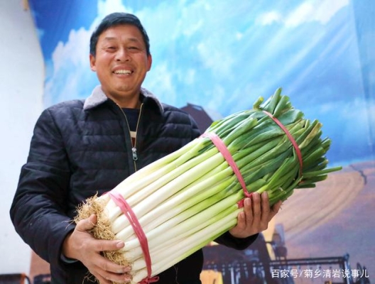 赤峰老杨大葱批发电话是多少号-第1张图片