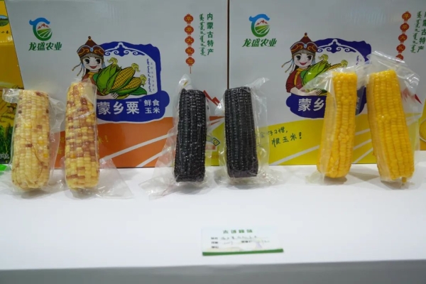 赤峰食客玩家电话多少号啊-第1张图片