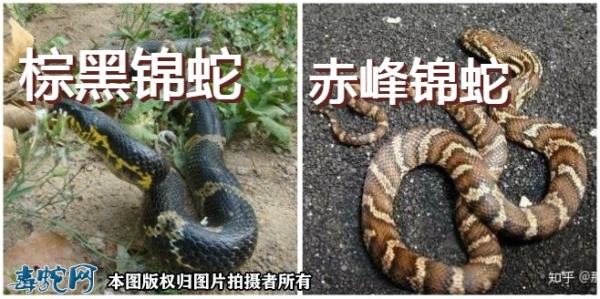 赤峰黑砂厂家电话号码查询-第1张图片