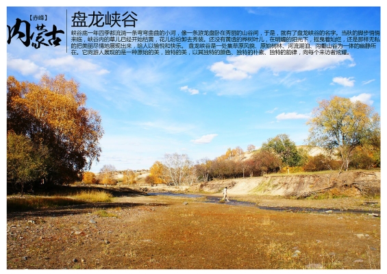 赤峰收购曲麻菜电话是多少号-第1张图片