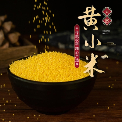 赤峰粥星厨团购地址电话号码-第1张图片
