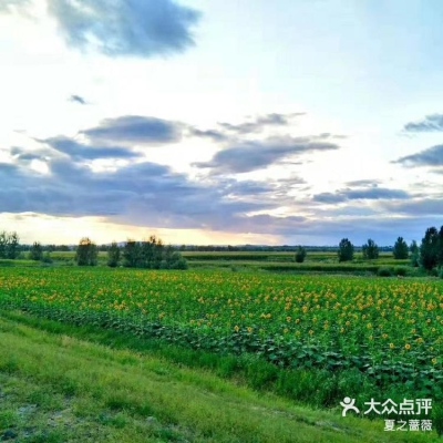 赤峰小绿包寻人电话号码查询-第1张图片