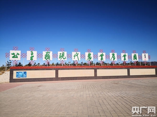 赤峰大庙防疫电话号码是多少号-第1张图片