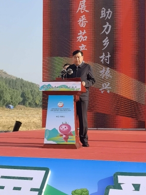 赤峰锦山装潢公司地址电话号码-第1张图片