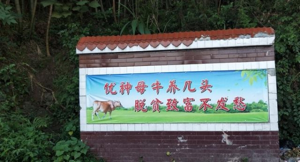 赤峰养牛场联系电话-第1张图片